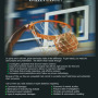 Basketball-Ad.jpg